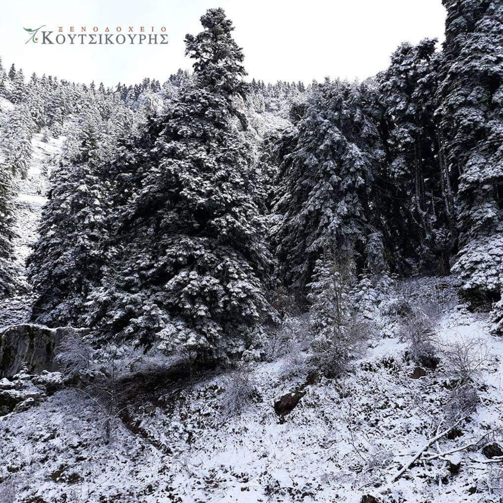 Koutsikouris Hotel Platanakos Buitenkant foto